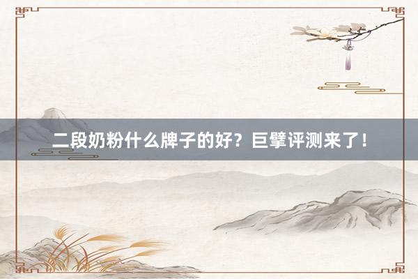 二段奶粉什么牌子的好？巨擘评测来了！