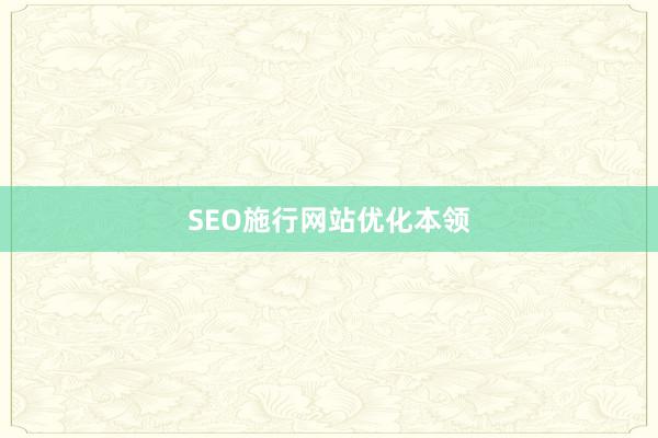 SEO施行网站优化本领