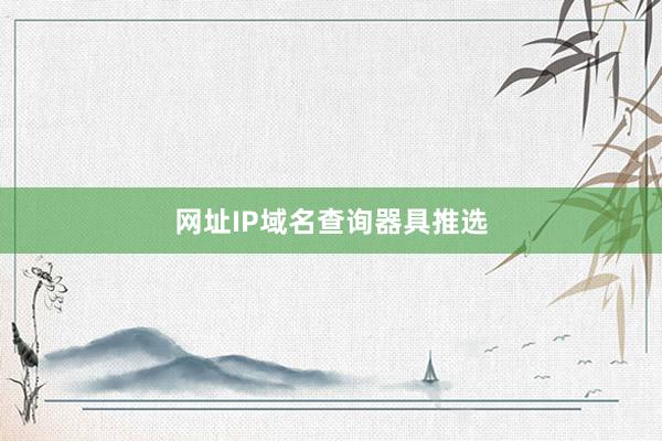 网址IP域名查询器具推选