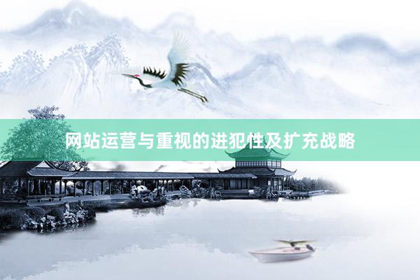 网站运营与重视的进犯性及扩充战略