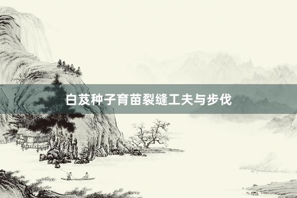 白芨种子育苗裂缝工夫与步伐