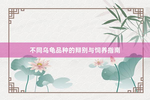 不同乌龟品种的辩别与饲养指南