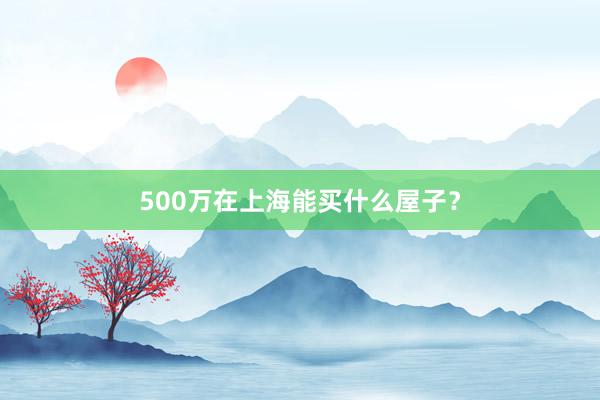 500万在上海能买什么屋子？